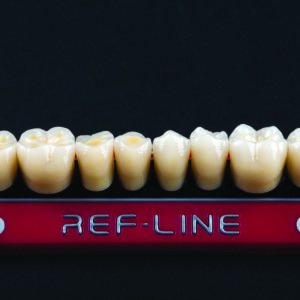 Polident REF-LINE akrilni zubi - Slika 3
