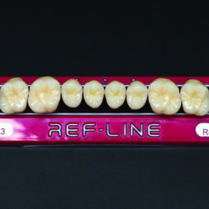 Polident REF-LINE akrilni zubi - Slika 5