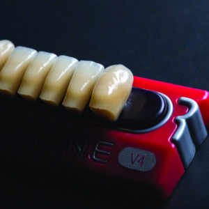 Polident REF-LINE akrilni zubi - Slika 6