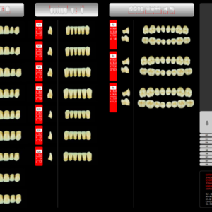 Polident REF-LINE akrilni zubi - Slika 11
